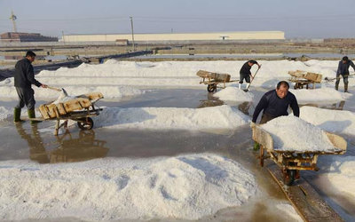 腌制鹽工作現(xiàn)場(chǎng)